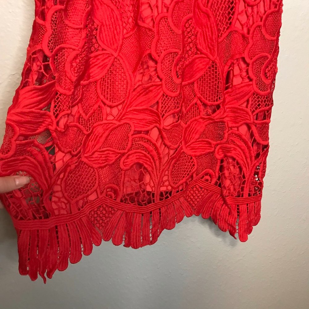 Lovers + Friends Red Valentine Caspian Shift Dress - Picture 4 of 12